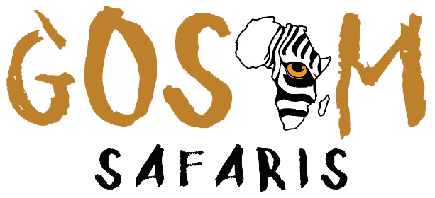 Gosam Safari Tours