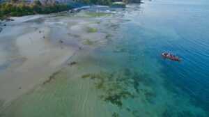 The Best of Zanzibar Island